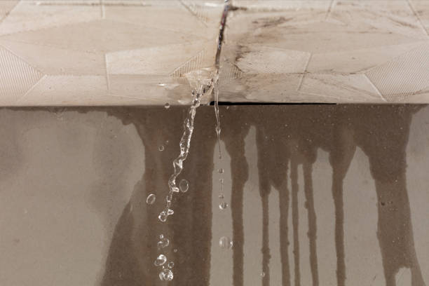 Professional Flood Damage Cleanup technician working in Trafford, PA